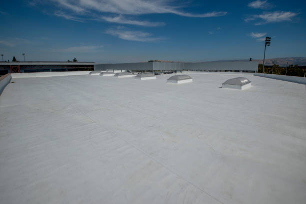 Best Roof Leak Repair  in Greenville, OH