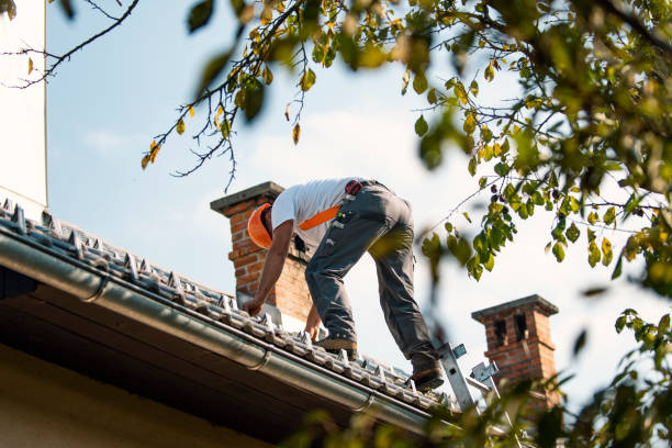 Fast & Reliable Emergency Roof Repairs in Greenville, OH